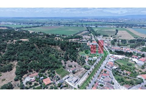 Terra a Chamusca, Santarem, Chamusca - € 60.580 | Ref: 145.25 - foto 16