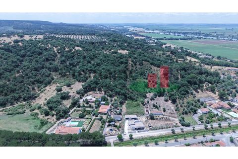 Terra a Chamusca, Santarem, Chamusca - € 60.580 | Ref: 145.25 - foto 17