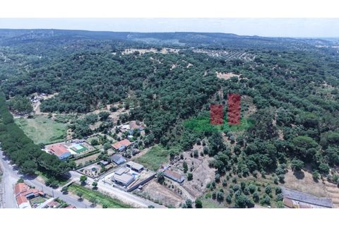 Terra a Chamusca, Santarem, Chamusca - € 60.580 | Ref: 145.25 - foto 18