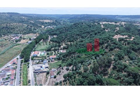 Terra a Chamusca, Santarem, Chamusca - € 60.580 | Ref: 145.25 - foto 19