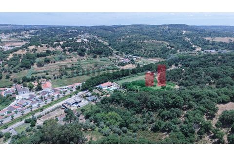 Terra a Chamusca, Santarem, Chamusca - € 60.580 | Ref: 145.25 - foto 21