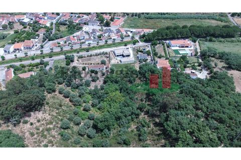 Terra a Chamusca, Santarem, Chamusca - € 60.580 | Ref: 145.25 - foto 23
