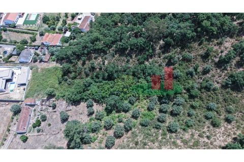 Terra a Chamusca, Santarem, Chamusca - € 60.580 | Ref: 145.25 - foto 4