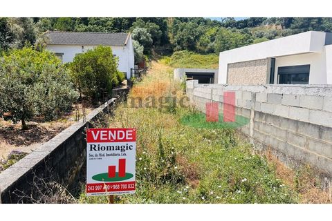 Terra a Chamusca, Santarem, Chamusca - € 60.580 | Ref: 145.25 - foto 6