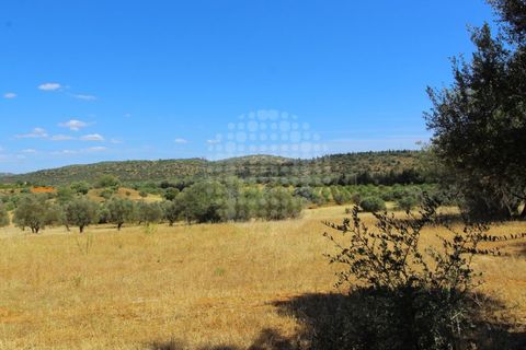 Farm i Paderne, Faro, Paderne - € 499.000 | Ref: QUI-1726 - foto 19