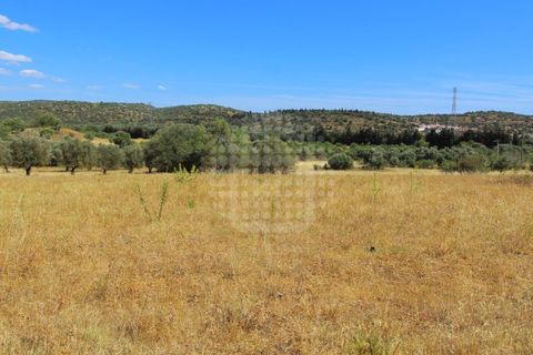 Farm i Paderne, Faro, Paderne - € 499.000 | Ref: QUI-1726 - foto 20