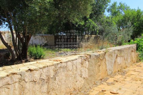 Farm i Paderne, Faro, Paderne - € 499.000 | Ref: QUI-1726 - foto 21