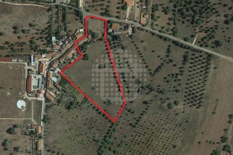 Farm i Paderne, Faro, Paderne - € 499.000 | Ref: QUI-1726 - foto 24