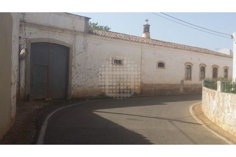 Farm i Paderne, Faro, Paderne - € 499.000 | Ref: QUI-1726 - foto 25
