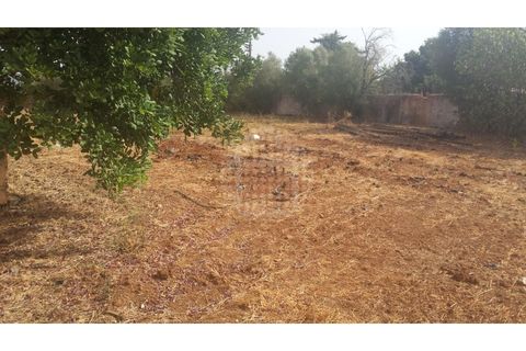 Farm i Paderne, Faro, Paderne - € 499.000 | Ref: QUI-1726 - foto 31
