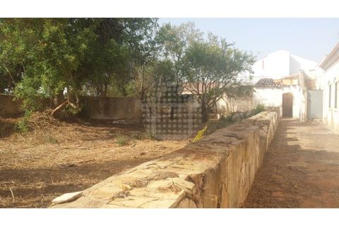 Farm i Paderne, Faro, Paderne - € 499.000 | Ref: QUI-1726 - foto 32