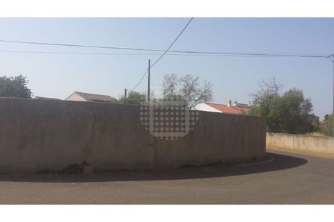 Farm i Paderne, Faro, Paderne - € 499.000 | Ref: QUI-1726 - foto 34