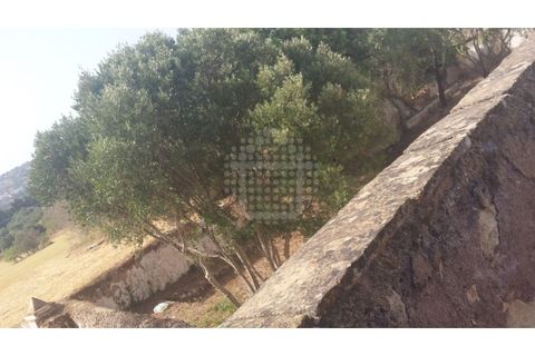 Farm i Paderne, Faro, Paderne - € 499.000 | Ref: QUI-1726 - foto 37