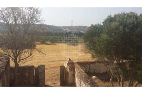 Farm i Paderne, Faro, Paderne - € 499.000 | Ref: QUI-1726 - foto 38