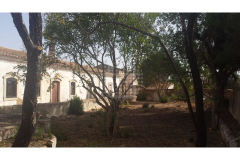 Farm i Paderne, Faro, Paderne - € 499.000 | Ref: QUI-1726 - foto 36