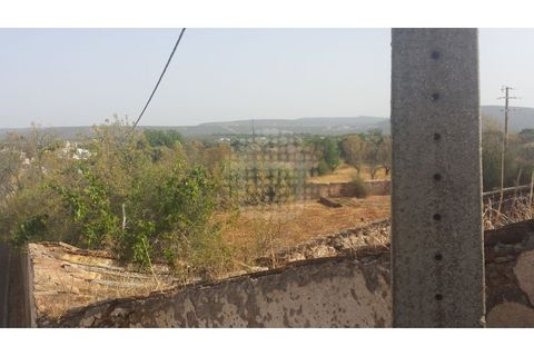 Farm i Paderne, Faro, Paderne - € 499.000 | Ref: QUI-1726 - foto 39