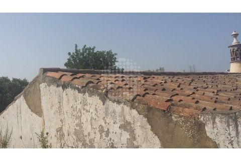 Farm i Paderne, Faro, Paderne - € 499.000 | Ref: QUI-1726 - foto 41