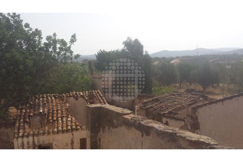 Farm i Paderne, Faro, Paderne - € 499.000 | Ref: QUI-1726 - foto 42