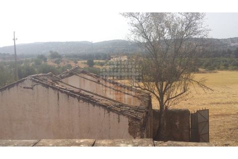 Farm i Paderne, Faro, Paderne - € 499.000 | Ref: QUI-1726 - foto 44