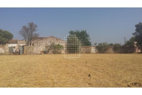 Farm i Paderne, Faro, Paderne - € 499.000 | Ref: QUI-1726 - foto 46