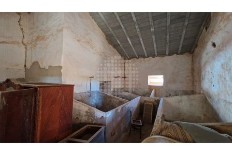 Farm i Paderne, Faro, Paderne - € 499.000 | Ref: QUI-1726 - foto 6