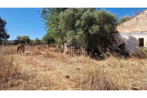 Farm i Paderne, Faro, Paderne - € 499.000 | Ref: QUI-1726 - foto 18