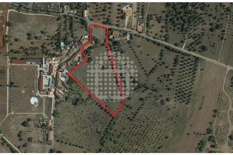 Farm i Paderne, Faro, Paderne - € 499.000 | Ref: QUI-1726 - foto 50