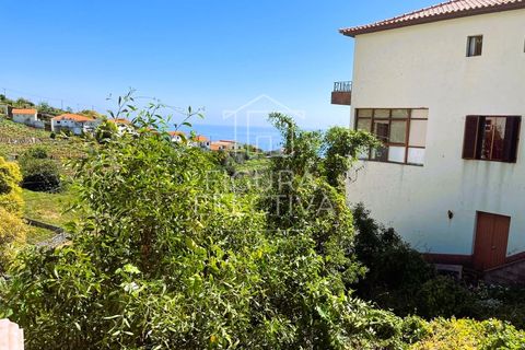 Helårsgrund i Calheta, Madeira, Calheta - € 75.000 | Ref: TER_220 - foto 8