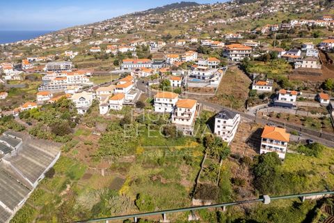 Helårsgrund i Calheta, Madeira, Calheta - € 75.000 | Ref: TER_220 - foto 12