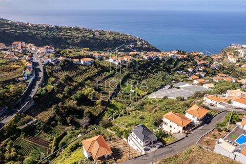 Helårsgrund i Calheta, Madeira, Calheta - € 75.000 | Ref: TER_220 - foto 14