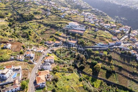 Helårsgrund i Calheta, Madeira, Calheta - € 75.000 | Ref: TER_220 - foto 18