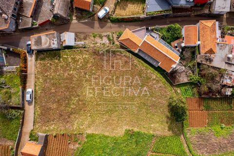 Helårsgrund i Calheta, Madeira, Calheta - € 162.000 | Ref: TER_218 - foto 5