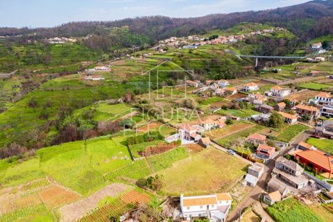 Helårsgrund i Calheta, Madeira, Calheta - € 162.000 | Ref: TER_218 - foto 4