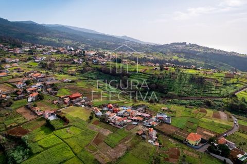 Helårsgrund i Calheta, Madeira, Calheta - € 162.000 | Ref: TER_218 - foto 10