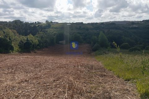 Helårsgrund i Bombarral, Leiria, Bombarral - € 40.000 | Ref: CAL-216778 - foto 2