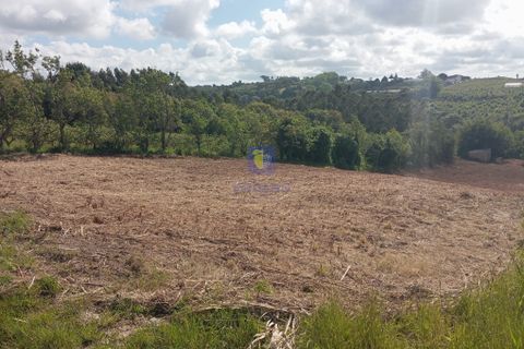 Helårsgrund i Bombarral, Leiria, Bombarral - € 40.000 | Ref: CAL-216778 - foto 3