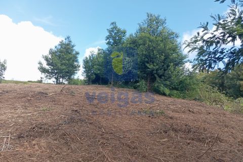 Helårsgrund i Bombarral, Leiria, Bombarral - € 40.000 | Ref: CAL-216778 - foto 4