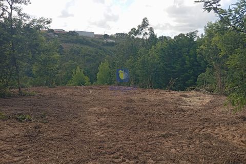 Helårsgrund i Bombarral, Leiria, Bombarral - € 40.000 | Ref: CAL-216778 - foto 5