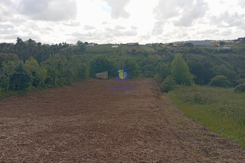 Helårsgrund i Bombarral, Leiria, Bombarral - € 40.000 | Ref: CAL-216778 - foto 6