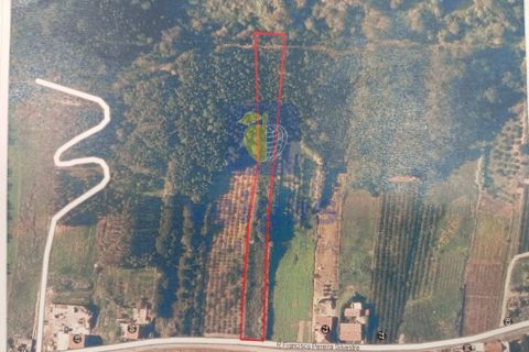 Helårsgrund i Bombarral, Leiria, Bombarral - € 40.000 | Ref: CAL-216778 - foto 7