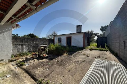 Helårsgrund i Olaia e Paco, Santarem, Olaia e Paco - € 75.000 | Ref: C0269-02004 - foto 7