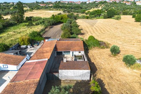 Helårsgrund i Olaia e Paco, Santarem, Olaia e Paco - € 75.000 | Ref: C0269-02004 - foto 2