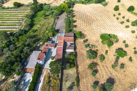 Helårsgrund i Olaia e Paco, Santarem, Olaia e Paco - € 75.000 | Ref: C0269-02004 - foto 3