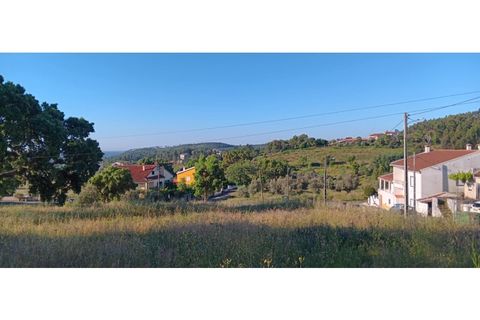 Helårsgrund i Macao, Santarem, Macao - € 180.000 | Ref: PAR_322 - foto 3