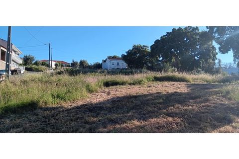 Helårsgrund i Macao, Santarem, Macao - € 180.000 | Ref: PAR_322 - foto 4