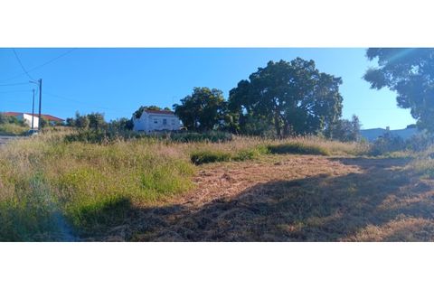 Helårsgrund i Macao, Santarem, Macao - € 180.000 | Ref: PAR_322 - foto 6