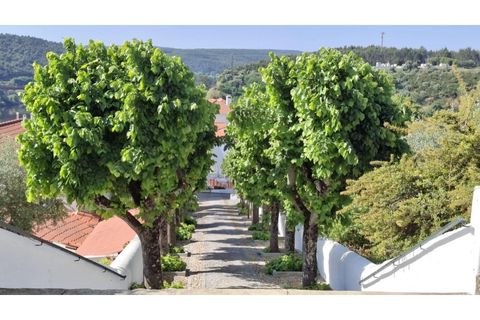 Helårsgrund i Constancia, Santarem, Constancia - € 56.000 | Ref: KWPT-001847 - foto 10