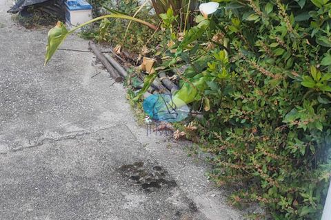 Villa i Viareggio, Lucca, Viareggio - € 750.000 | Ref: 26 - foto 13