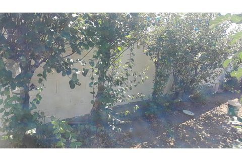 Terra a Estremoz, Evora, Estremoz - € 85.000 | Ref: SÒL_771 - foto 7