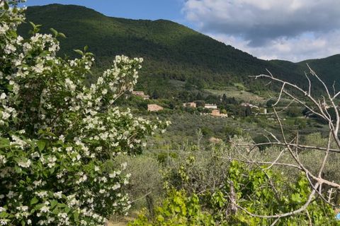 Villa a Spoleto, Perugia, Spoleto - € 270.000 | Ref: CBI057-935-30375 - foto 15
